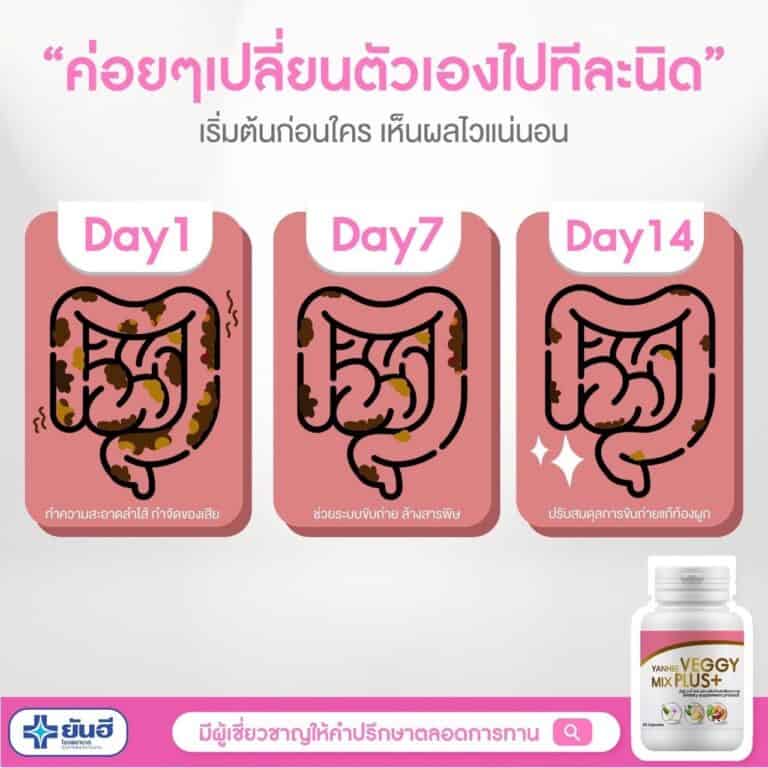 LINE ALBUM Veggy ๒๒๐๙๐๖ 3