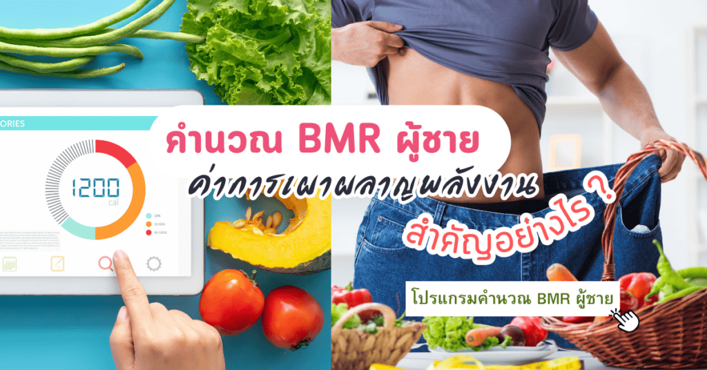 คํานวณ BMR ผู้ชาย ค่าการเผาผลาญพลังงานสำคัญอย่างไร 2 คํานวณ BMR ผู้ชาย ค่าการเผาผลาญพลังงานสำคัญอย่างไร