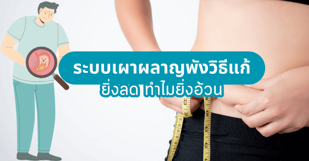 ระบบเผาผลาญพังวิธีแก้