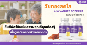 ยันฮีฟอร์ซินเนียสรรพคุณที่คุณต้องรู้ เพื่อดูแลวัยทองอย่างครบวงจร