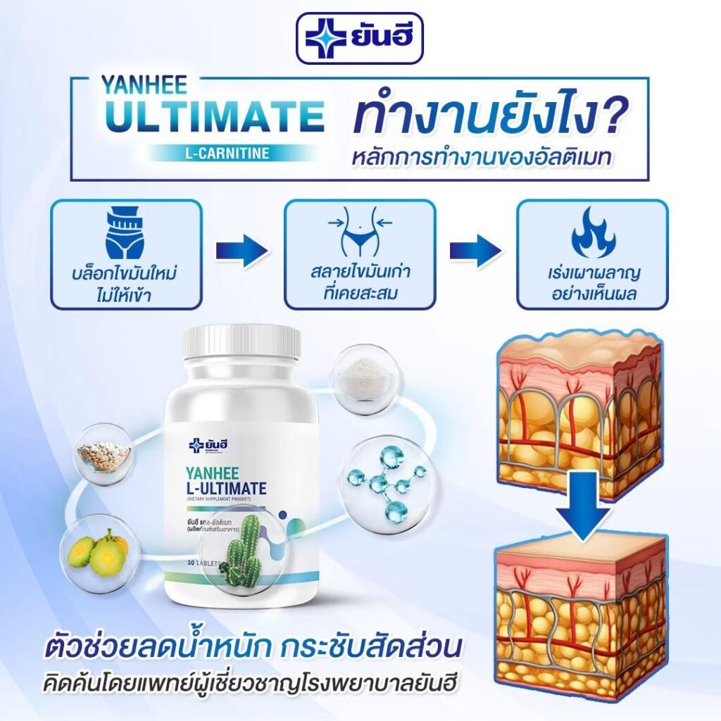 ยันฮีอัลติเมทแอลคาร์นิทีนดีไหม เหมาะกับใคร 4 ยาลดน้ำหนักยันฮีอัลติเมท