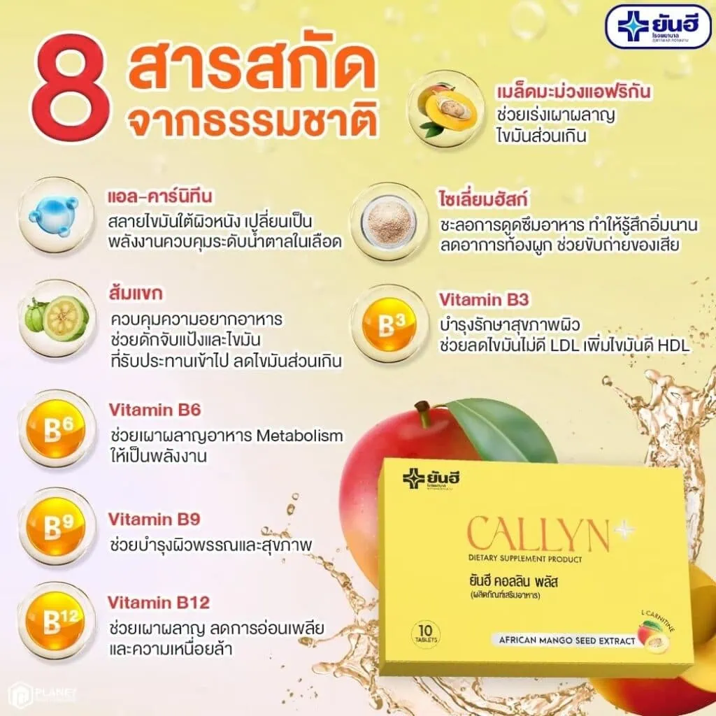 LINE ALBUM ยันฮีคอลลินพลัส 240709 80