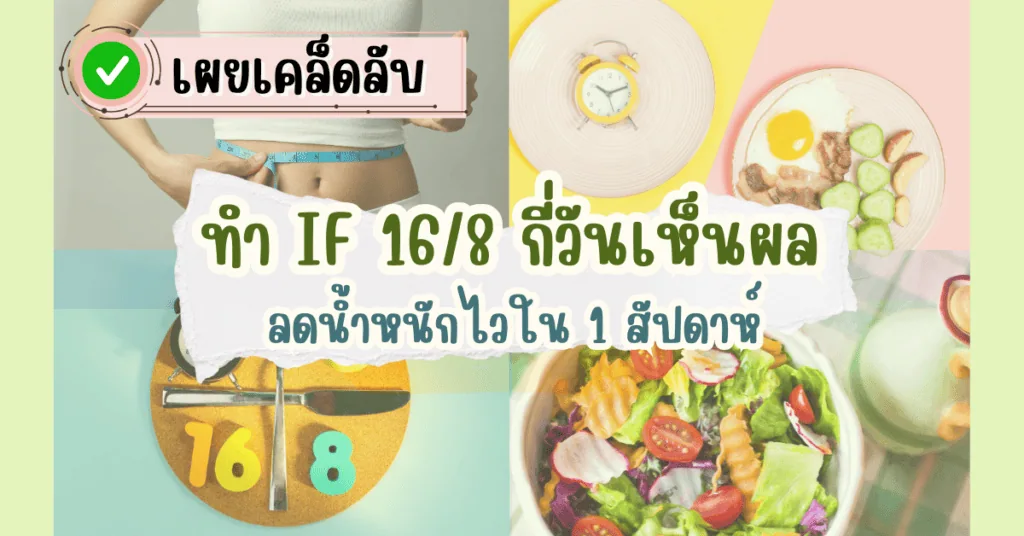 ทำ IF 16/8 กี่วันเห็นผล เผยเคล็ดลับลดน้ำหนักไวใน 1 สัปดาห์ 2 ทํา IF 16/8 กี่วันเห็นผล