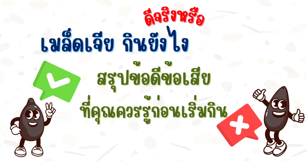 เมล็ดเจีย กินยังไง ดีจริงหรือ สรุปข้อดีข้อเสียที่คุณควรรู้ก่อนเริ่มกิน 2 เมล็ดเจีย กินยังไง