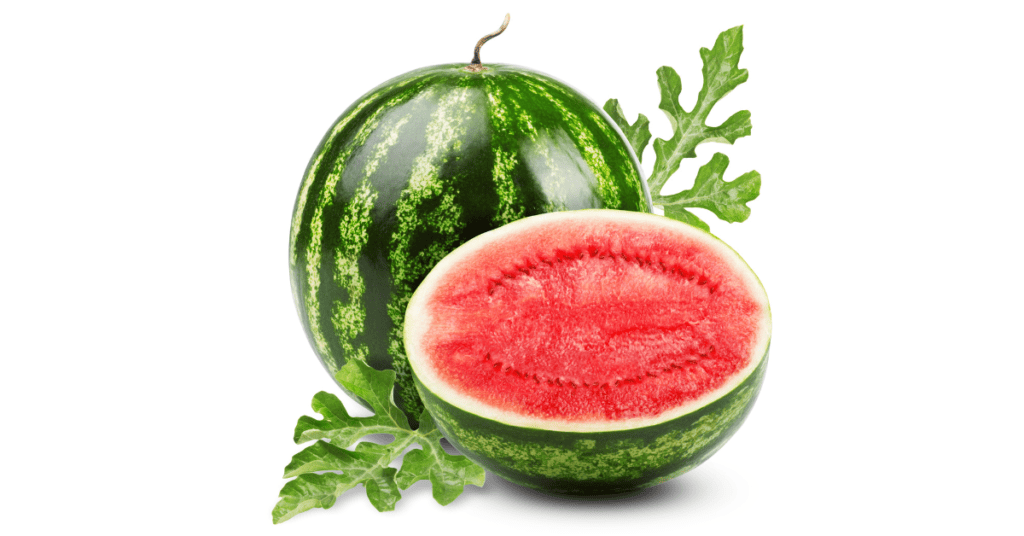 Diet 2025 02 17T135218.543