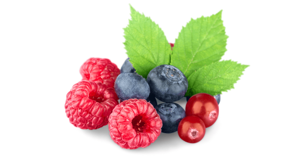 Diet 2025 02 17T135351.896