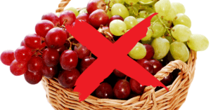 Diet 2025 02 17T152527.496