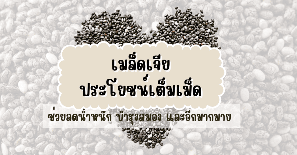 เมล็ดเจีย ประโยชน์เต็มเม็ด ช่วยลดน้ำหนัก บำรุงสมอง และอีกมากมาย 2 เมล็ดเจีย ประโยชน์