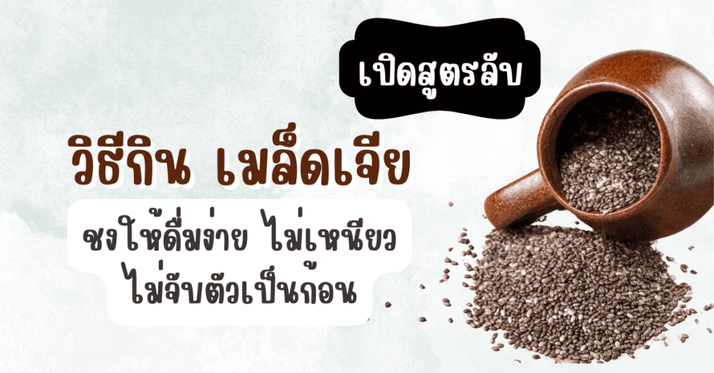 เปิดสูตรลับวิธีกิน เมล็ดเจีย ชงให้ดื่มง่าย ไม่เหนียว ไม่จับตัวเป็นก้อน 68 วิธีกิน เมล็ดเจีย