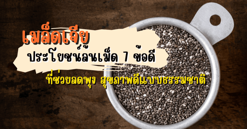 เมล็ดเจีย ประโยชน์ล้นเม็ด 7 ข้อดีที่ช่วยลดพุง สุขภาพดีแบบธรรมชาติ 2 เมล็ดเจีย ประโยชน์