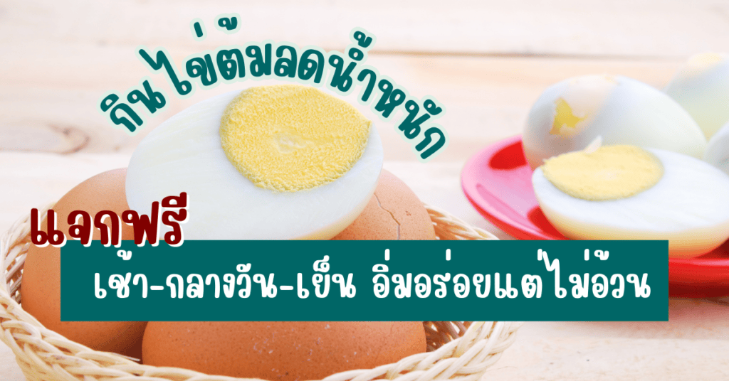 แจกฟรี กินไข่ต้มลดน้ำหนัก เช้า-กลางวัน-เย็น อิ่มอร่อยแต่ไม่อ้วน 2 กินไข่ต้มลดน้ำหนัก