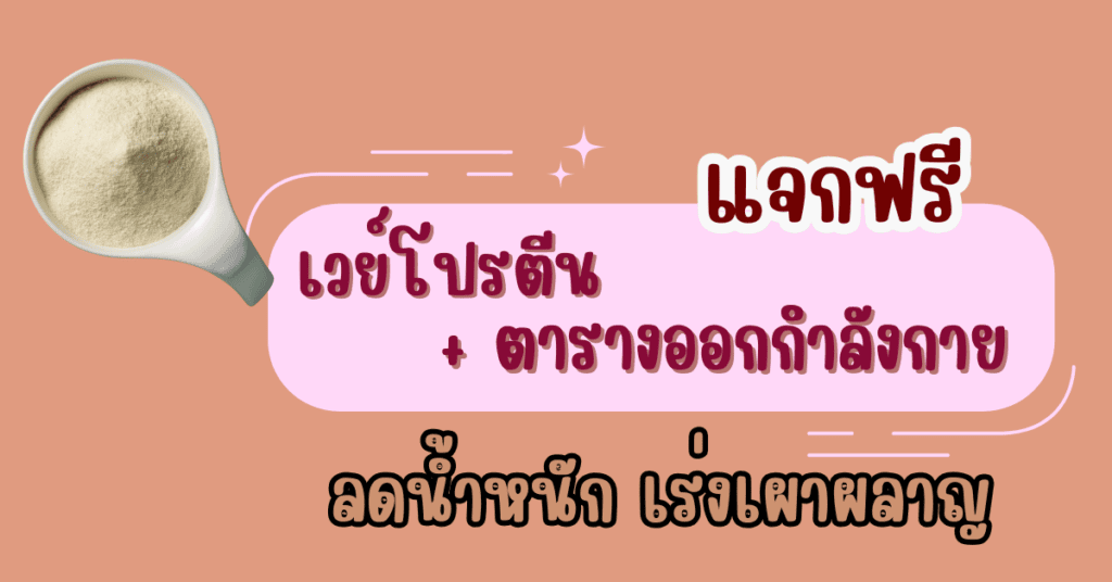 แจกฟรี ตารางออกกำลังกาย + เวย์โปรตีน ลดน้ำหนัก เร่งเผาผลาญ 2 เวย์โปรตีน ลดน้ำหนัก