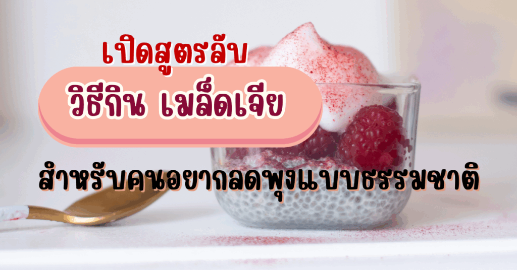 เปิดสูตรลับ วิธีกิน เมล็ดเจีย สำหรับคนอยากลดพุงแบบธรรมชาติ 2 วิธีกิน เมล็ดเจีย